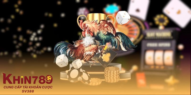 Định hướng hoạt động trong tương lai của Khin789 