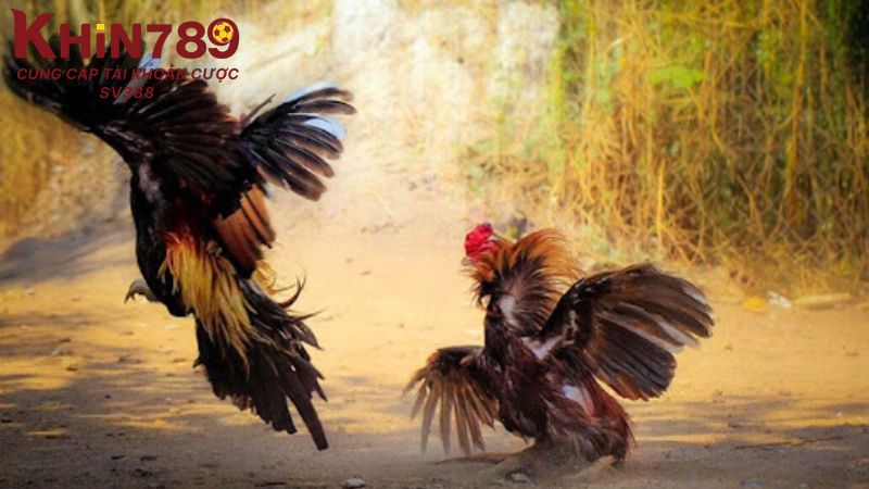 Người chơi cần truy cập đúng link an toàn để tham gia giúp hạn chế rủi ro 