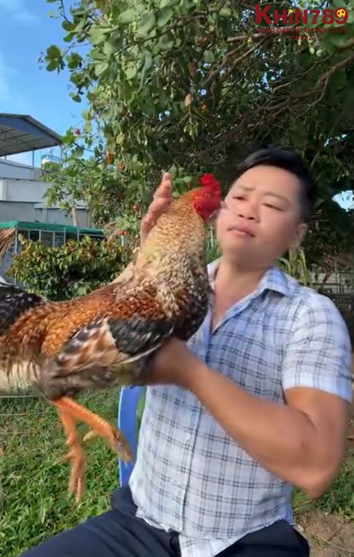 Long Thomo được nhiều người quan tâm và tìm kiếm