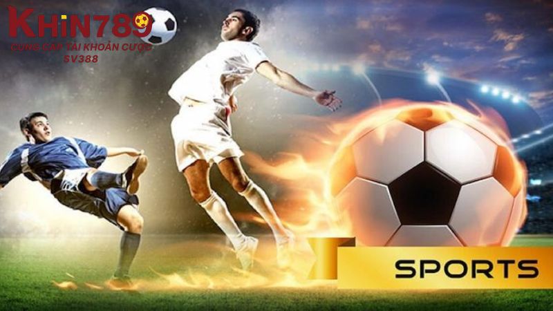 Tuân thủ luật khi chơi cá cược thể thao tại Khin789